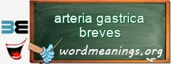 WordMeaning blackboard for arteria gastrica breves